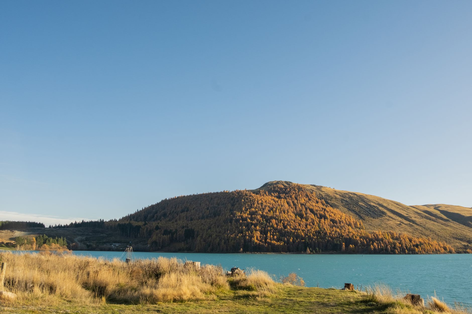 Panoramic view of South Island mountain pass