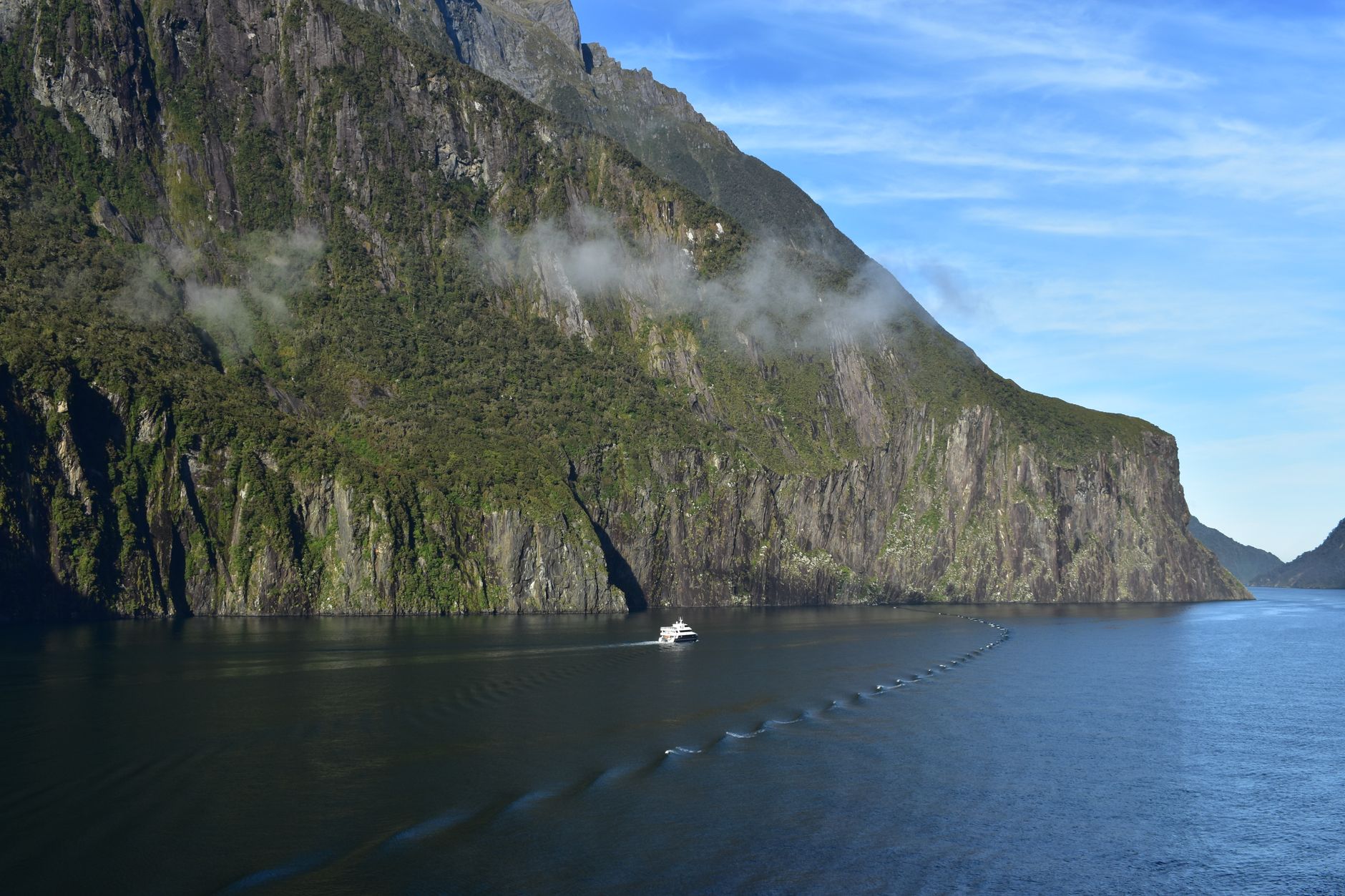 Fiordland Milford Sound Cruise