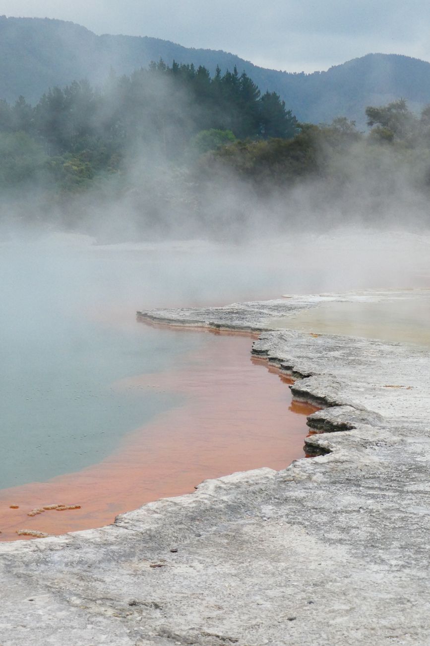 Rotorua Geothermal & Coast